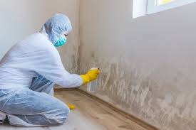 Mold Documentation for Insurance Claims in Petersburg, WV